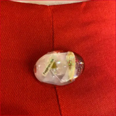 Partially eaten hard candy with green flecks beside Crotch Zipper Red Leggings
