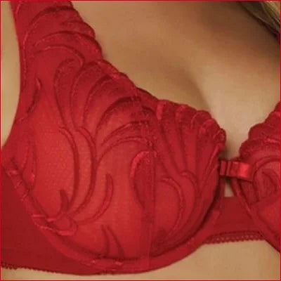 Red lacy bra with floral embroidery in sheer mesh unlined design for full figure support