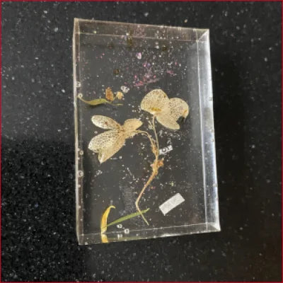 Pressed flower art in clear resin, a limited edition original unique piece