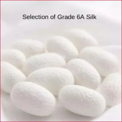 White oval-shaped silk cocoons for luxurious Mulberry Silk underwear lingerie