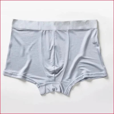 White men’s boxer briefs made of luxurious Mulberry silk underwear lingerie