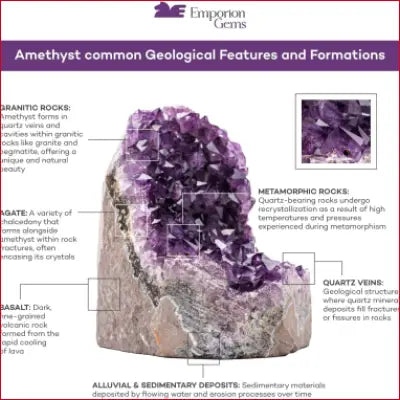 Natural Amethyst crystal clusters showcasing deep purple hues in a stunning geode formation