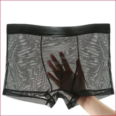 Sheer black mesh boxer shorts lingerie with a hand visible through the fabric