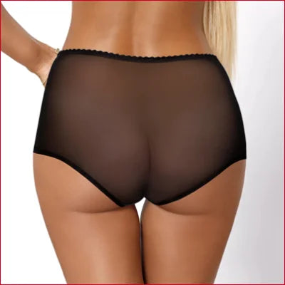 PariPari Sheer Mesh High Waist Panty with Floral Embroidery worn by a person