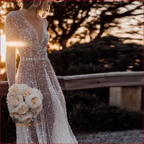 Boho See Though Wedding Dress Sheer Sequinned Backless Bridal Gown
