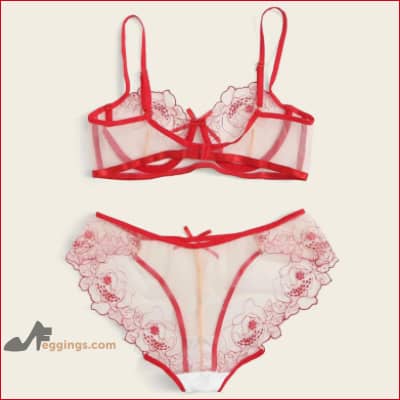 Bralette Panties Set See Through Embroidered Womens Lingerie